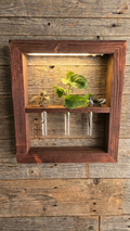 Handcrafted wooden LED plant propagation station with early American stain, warm LED glow illuminating three acrylic tubes with propagating plants