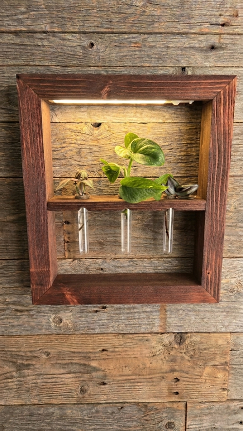 Handcrafted wooden LED plant propagation station with early American stain, warm LED glow illuminating three acrylic tubes with propagating plants